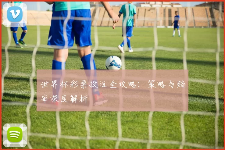 世界杯彩票投注全攻略:策略与赔率深度解析