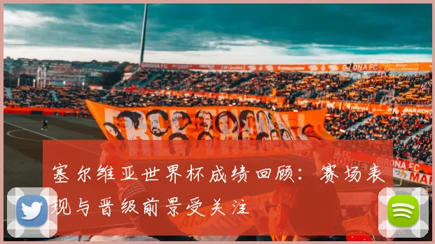 塞尔维亚世界杯成绩回顾：赛场表现与晋级前景受关注