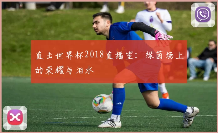 直击世界杯2018直播室:绿茵场上的荣耀与泪水