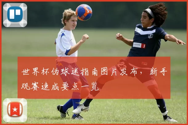 世界杯伪球迷指南图片发布,新手观赛速成要点一览