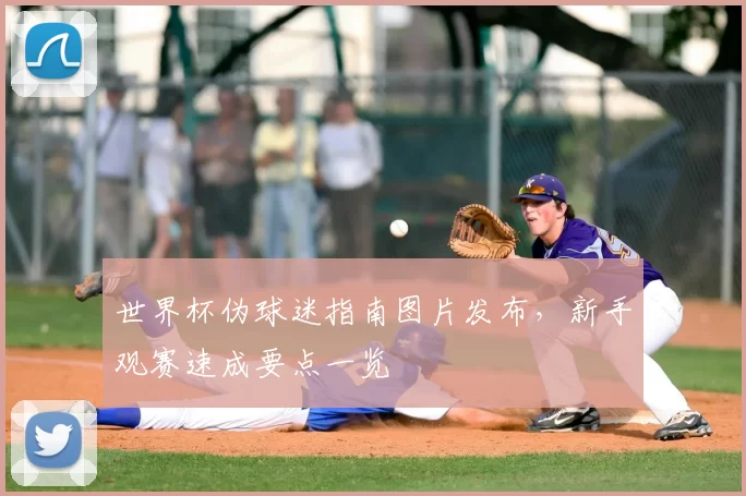 世界杯伪球迷指南图片发布,新手观赛速成要点一览