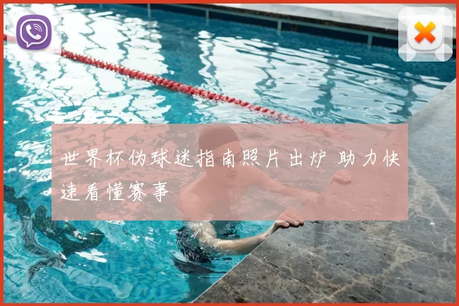 世界杯伪球迷指南照片出炉 助力快速看懂赛事