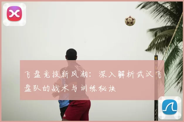 飞盘竞技新风潮:深入解析武汉飞盘队的战术与训练秘诀