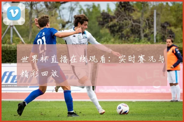 世界杯直播在线观看:实时赛况与精彩回放