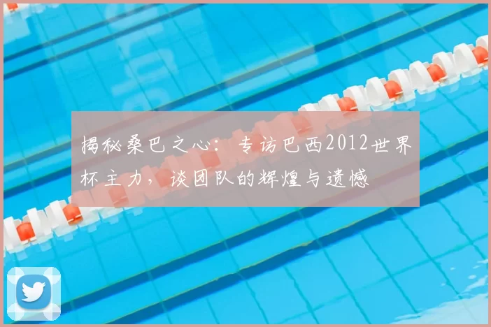 揭秘桑巴之心:专访巴西2012世界杯主力,谈团队的辉煌与遗憾