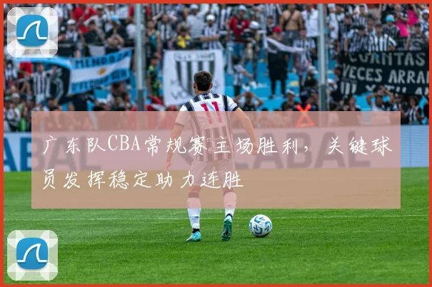 广东队CBA常规赛主场胜利,关键球员发挥稳定助力连胜