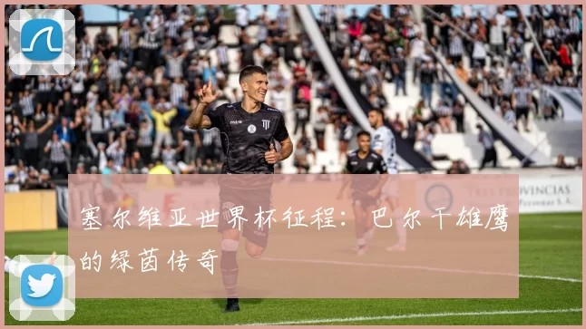 塞尔维亚世界杯征程:巴尔干雄鹰的绿茵传奇