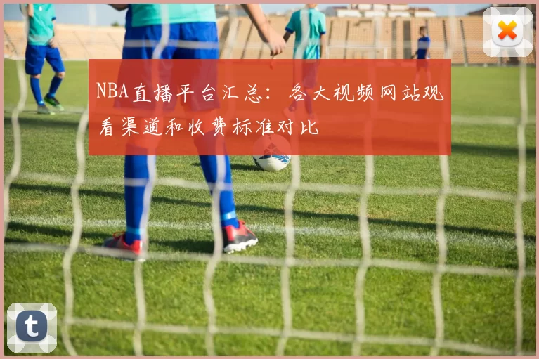 NBA直播平台汇总:各大视频网站观看渠道和收费标准对比