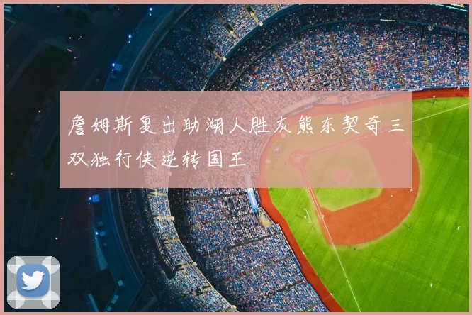 詹姆斯复出助湖人胜灰熊东契奇三双独行侠逆转国王