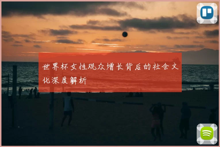 世界杯女性观众增长背后的社会文化深度解析
