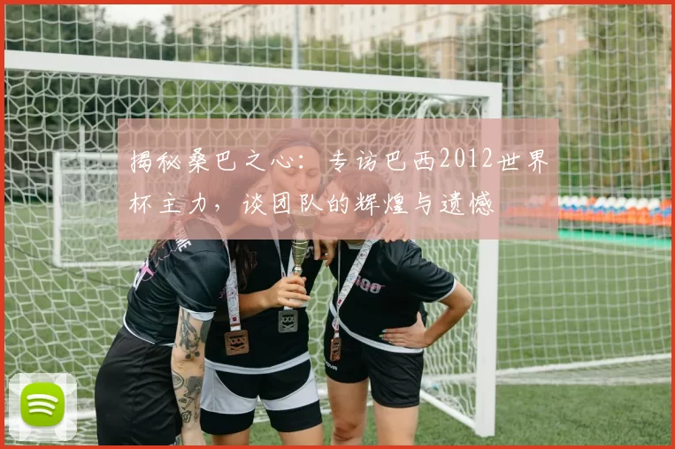 揭秘桑巴之心:专访巴西2012世界杯主力,谈团队的辉煌与遗憾